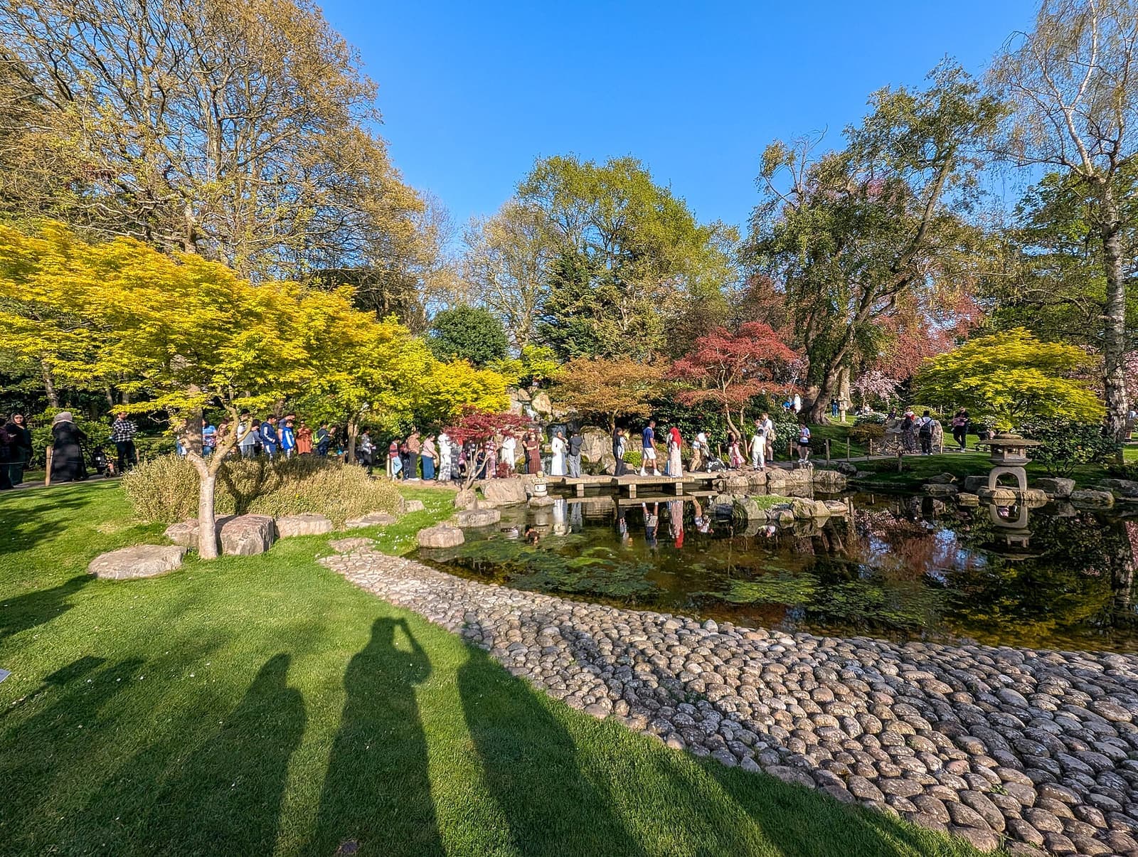 Autumn colour around the pond in the Kyoto Garden, Holland Park